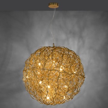 Paul Neuhaus 2019-12 - Pendelleuchte SAREA an Kabel, 15xG9/40W/230V, goldfarben