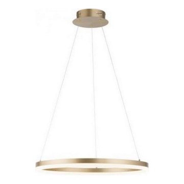 Paul Neuhaus 2382-60 - Dimmbarer LED-Kronleuchter TITUS LED/38,5W/230V