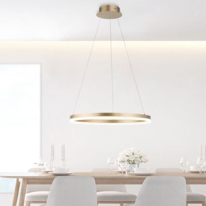 Paul Neuhaus 2382-60 - Dimmbarer LED-Kronleuchter TITUS LED/38,5W/230V