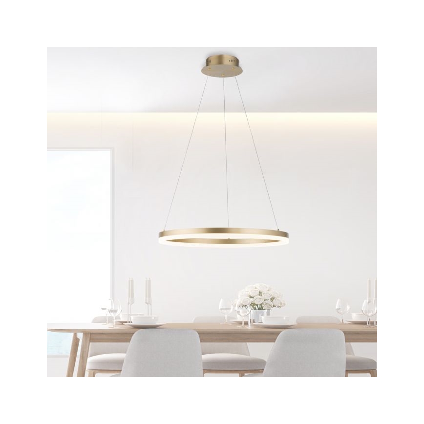 Paul Neuhaus 2382-60 - Dimmbarer LED-Kronleuchter TITUS LED/38,5W/230V