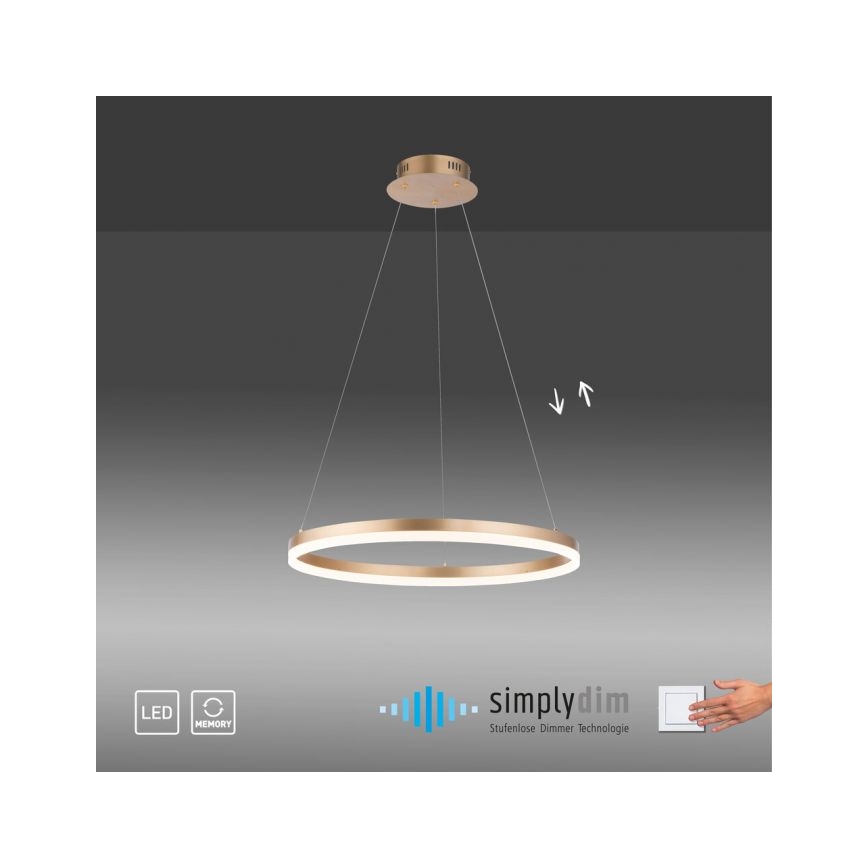 Paul Neuhaus 2382-60 - Dimmbarer LED-Kronleuchter TITUS LED/38,5W/230V