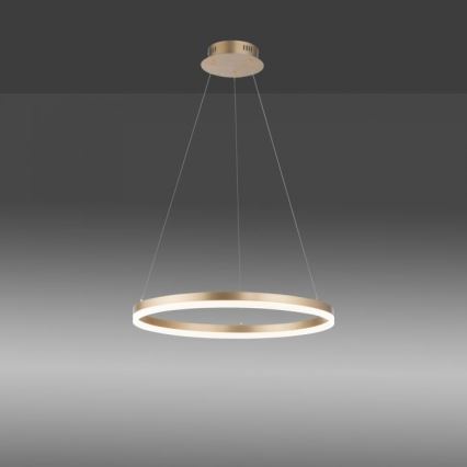 Paul Neuhaus 2382-60 - Dimmbarer LED-Kronleuchter TITUS LED/38,5W/230V