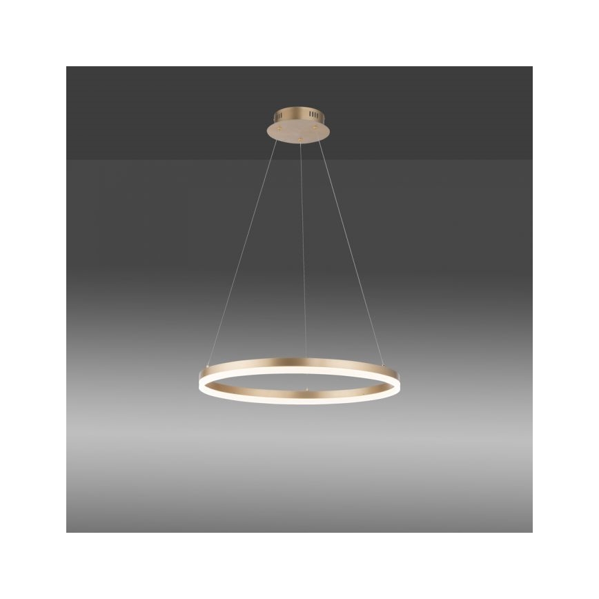 Paul Neuhaus 2382-60 - Dimmbarer LED-Kronleuchter TITUS LED/38,5W/230V