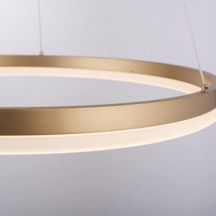 Paul Neuhaus 2382-60 - Dimmbarer LED-Kronleuchter TITUS LED/38,5W/230V