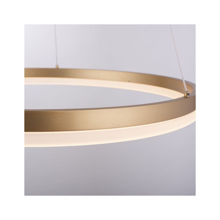 Paul Neuhaus 2382-60 - Dimmbarer LED-Kronleuchter TITUS LED/38,5W/230V