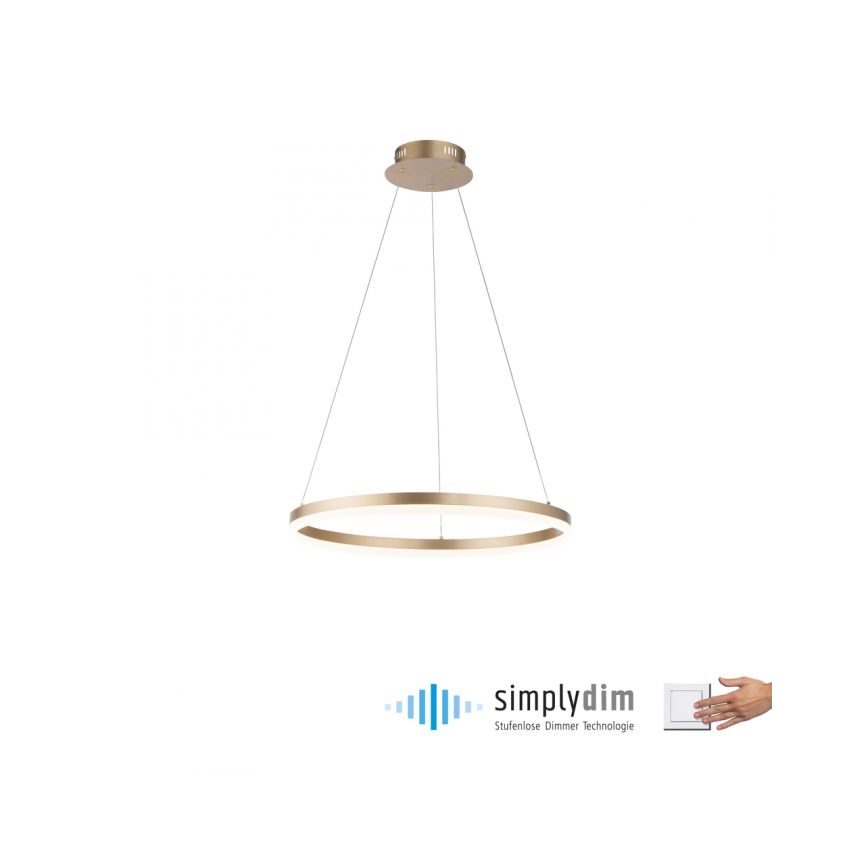 Paul Neuhaus 2382-60 - Dimmbarer LED-Kronleuchter TITUS LED/38,5W/230V