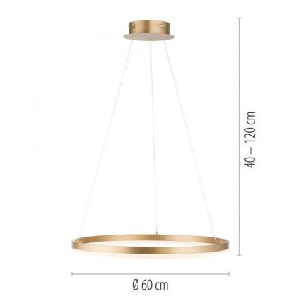 Paul Neuhaus 2382-60 - Dimmbarer LED-Kronleuchter TITUS LED/38,5W/230V