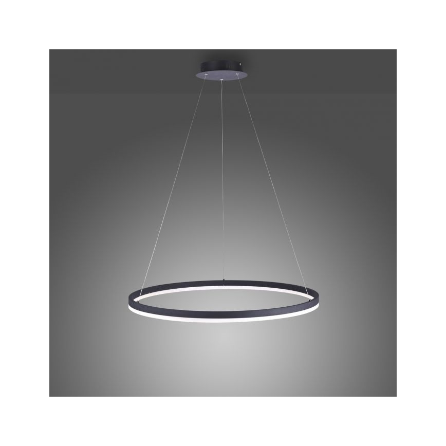 Paul Neuhaus 2383-13 - LED Dimmbarer Kronleuchter an Schnur TITUS LED/50W/230V