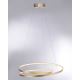 Paul Neuhaus 2474-12 - LED Dimmbarer Kronleuchter an Schnur ROMAN LED/40W/230V gold