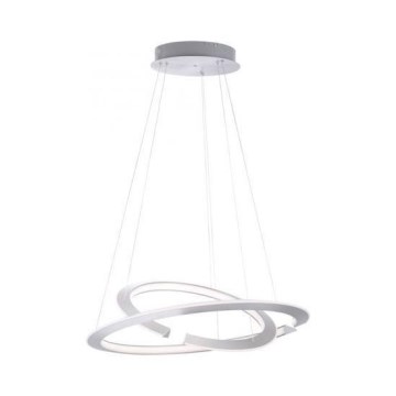 Paul Neuhaus 2491-55 - LED dimmbare Hängeleuchte an Kabel ALESSA 2xLED/26W/230V mit Fernbedienung