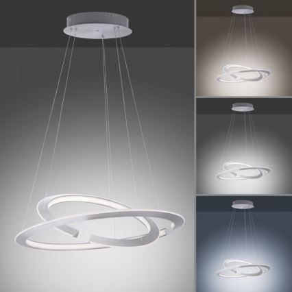 Paul Neuhaus 2491-55 - LED dimmbare Hängeleuchte an Kabel ALESSA 2xLED/26W/230V mit Fernbedienung