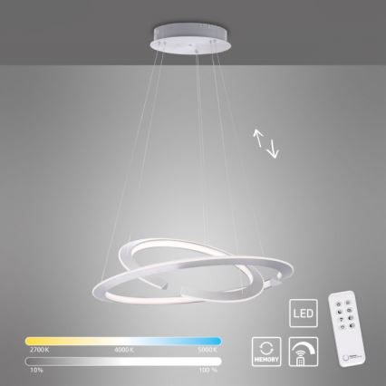 Paul Neuhaus 2491-55 - LED dimmbare Hängeleuchte an Kabel ALESSA 2xLED/26W/230V mit Fernbedienung