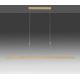 Paul Neuhaus 2568-60 - Dimmbare LED-Hängeleuchte an Schnur ADRIANA LED/14W/230V  2700-5000K Messing