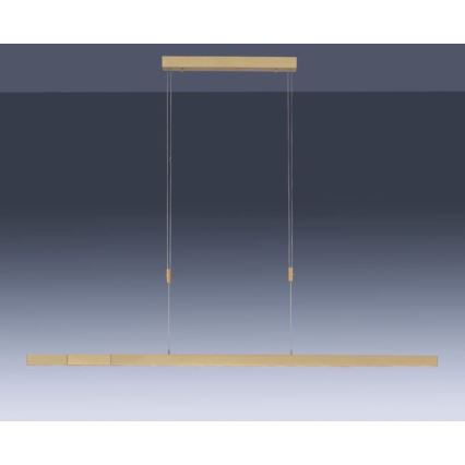 Paul Neuhaus 2568-60 - Dimmbare LED-Hängeleuchte an Schnur ADRIANA LED/14W/230V  2700-5000K Messing