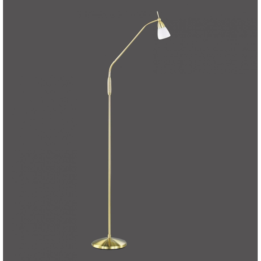 Paul Neuhaus 430-60 - Dimmbare Touch Stehleuchte PINO 1xG9/28W/230V gold