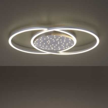 Paul Neuhaus 6025-55 - LED dimmbare Deckenleuchte YUKI LED/48W/230V mit Fernbedienung