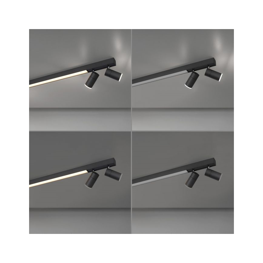 Paul Neuhaus 6121-13 - Dimmbarer LED-Strahler PURE 4xLED/4W/230V + LED/9W 2700-5000K + Fernbedienung