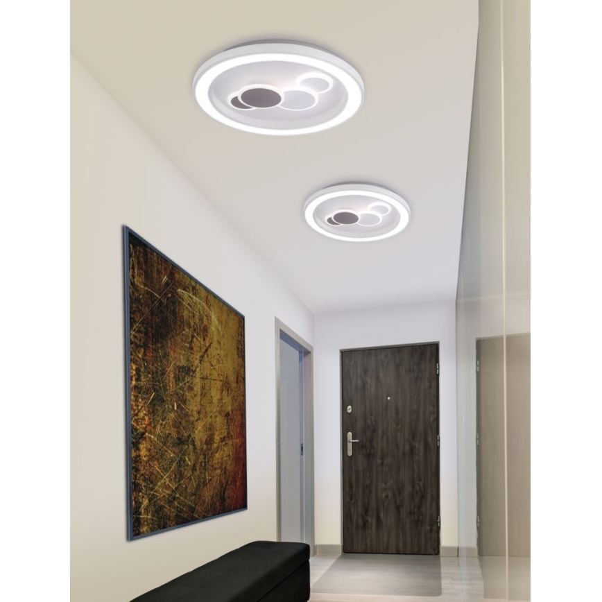 Paul Neuhaus 6284-16 - LED Deckenleuchte ELIZA LED/55,5W/230V Ø 60 cm