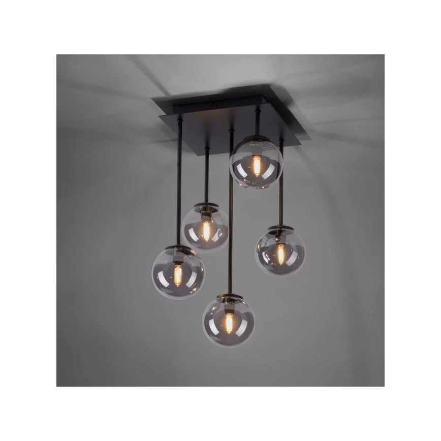 Paul Neuhaus 6719-18 - LED-Kronleuchter an Stange WIDOW 5xG9/3W/230V