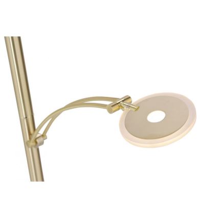 Paul Neuhaus 673-60 - Dimmbare LED-Stehleuchte ARTUR 2xLED/21W/230V+LED/6W goldfarben