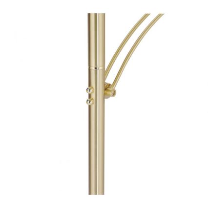 Paul Neuhaus 673-60 - Dimmbare LED-Stehleuchte ARTUR 2xLED/21W/230V+LED/6W goldfarben