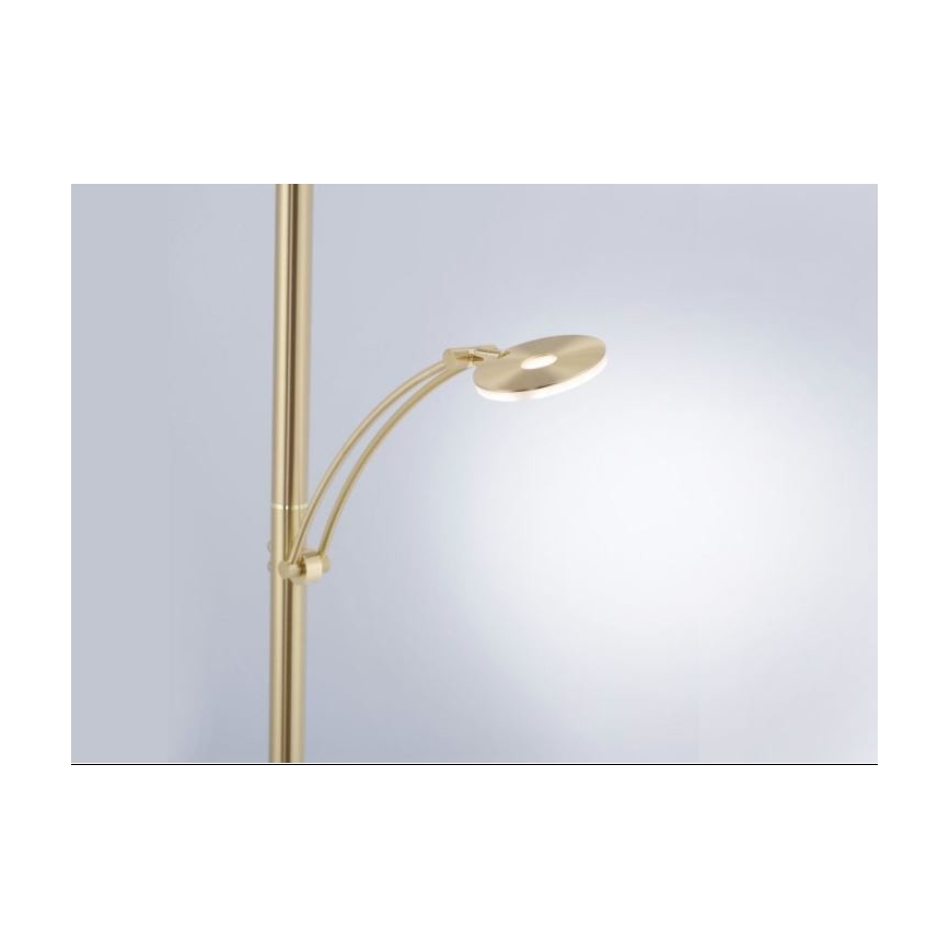 Paul Neuhaus 680-60 - LED dimmbare Stehleuchte MARTIN 1xLED/40W/230V+1xLED/6W