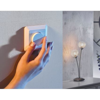 Paul Neuhaus 7200-16 - Drehdimmer 350W/230V