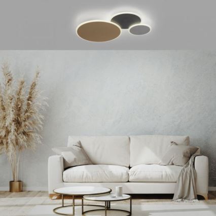 Paul Neuhaus 8007-70 - LED dimmbare Deckenleuchte Q-PIATO LED/35W/230V 2700-5000K Wi-Fi + Fernbedienung