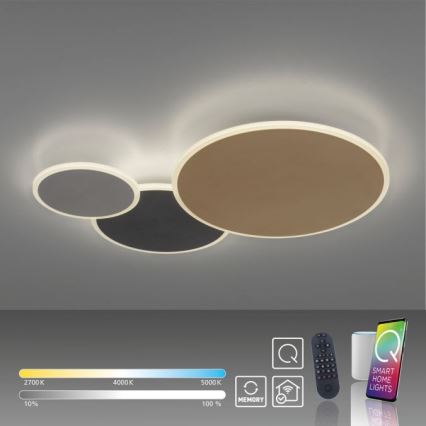 Paul Neuhaus 8007-70 - LED dimmbare Deckenleuchte Q-PIATO LED/35W/230V 2700-5000K Wi-Fi + Fernbedienung