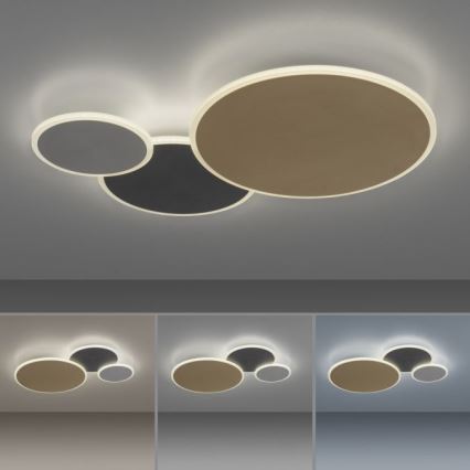 Paul Neuhaus 8007-70 - LED dimmbare Deckenleuchte Q-PIATO LED/35W/230V 2700-5000K Wi-Fi + Fernbedienung