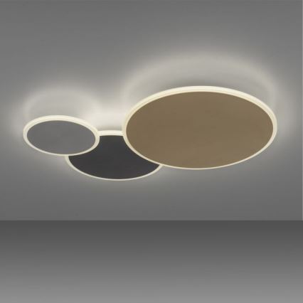 Paul Neuhaus 8007-70 - LED dimmbare Deckenleuchte Q-PIATO LED/35W/230V 2700-5000K Wi-Fi + Fernbedienung