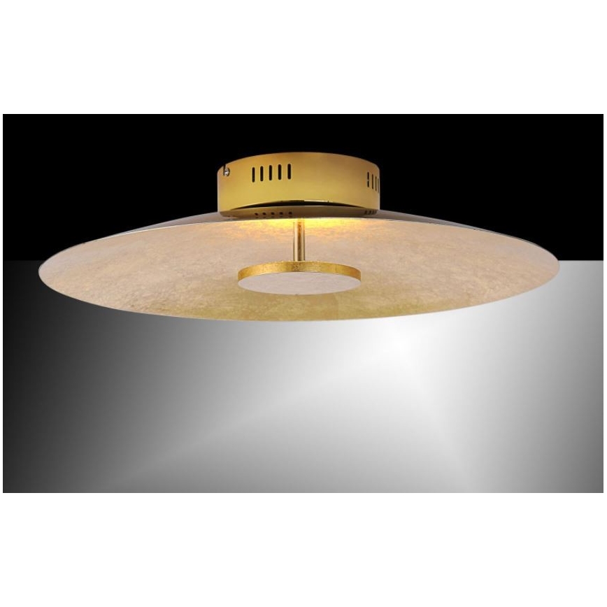 PLATE LED/25W/230V Dimmbare LED - Paul Deckenleuchte 8132-12 Neuhaus