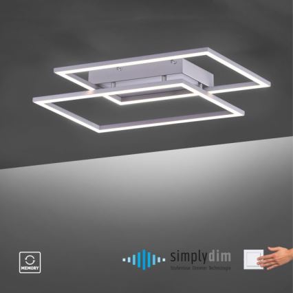 Paul Neuhaus 8192-55 - LED-Dimmbare Anbauleuchte INIGO 2xLED/12W/230V