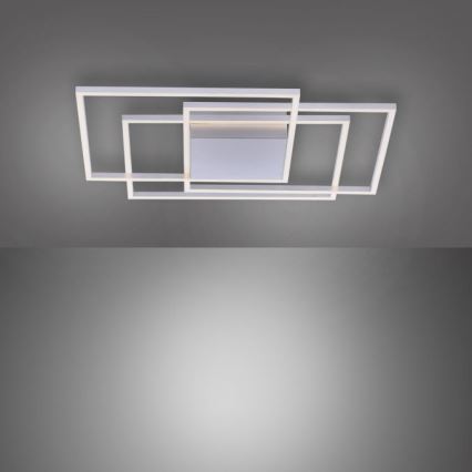 Paul Neuhaus 8256-55 - LED dimmbare Deckenleuchte INIGO 3xLED/16W/230V