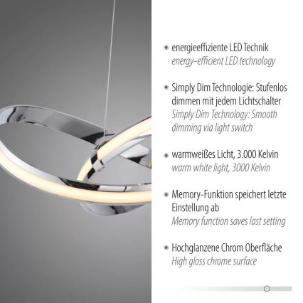 Paul Neuhaus 8291-17 - LED dimmbare Hängeleuchte an Kabel MELINDA LED/30W/230V
