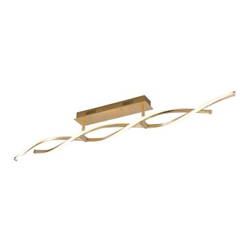 Paul Neuhaus 9243-12 - LED Deckenleuchte POLINA 2xLED/10W/230V