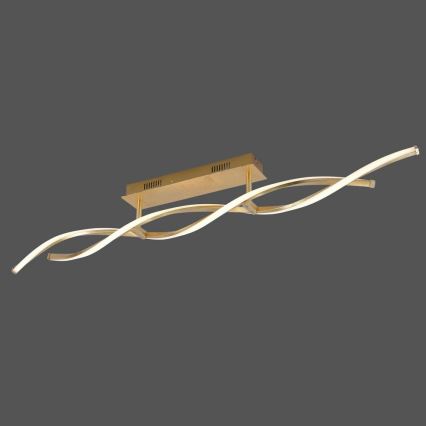 Paul Neuhaus 9243-12 - LED Deckenleuchte POLINA 2xLED/10W/230V