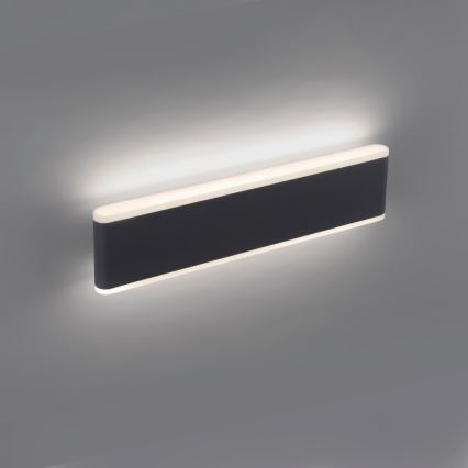 Paul Neuhaus 9484-13 - LED Dimmbare Außenwandleuchte ELSA 2xLED/9W/230V IP65