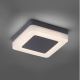 Paul Neuhaus 9491-13 - LED-Außenleuchte FABIAN LED/12,6W/230V IP54