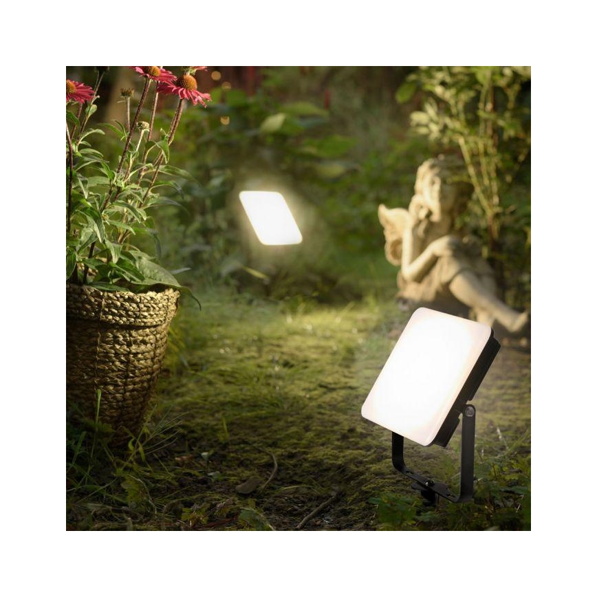Paul Neuhaus 9638-18 - LED-Außenstrahler ROMY LED/20W/230V IP65