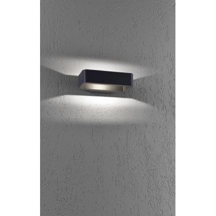 Paul Neuhaus 9668-13 - LED Außenwandleuchte HENDRIK LED/5,2W/230V IP54