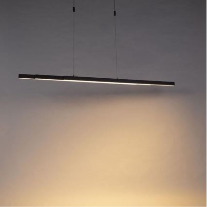 Paul Neuhaus B2568-13 - LED-Kronleuchter an Schnur BACALIA LED/14W/230V dimmbar