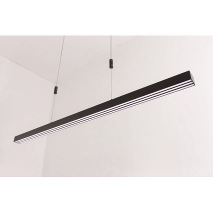 Paul Neuhaus B2568-13 - LED-Kronleuchter an Schnur BACALIA LED/14W/230V dimmbar