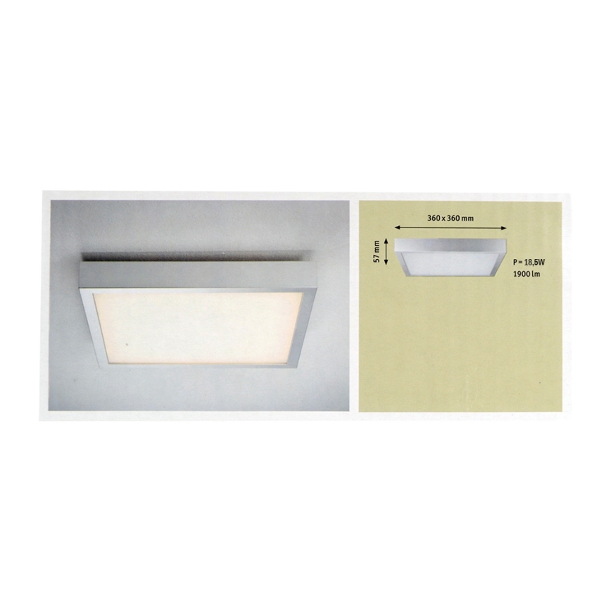 Paulmann 70385 - LED Deckenleuchte SPACE 1xLED/17W/230V