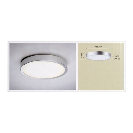 Paulmann 70390 - LED Deckenleuchte ORBIT LED/17W/230V