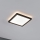 Paulmann 71000 - LED/11,2W Aufbaupanel ATRIA 230V 3000K 19x19 cm schwarz