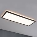 Paulmann 71003 - LED/22W Dimmbares Panel ATRIA 230V 3000K 20x58 cm schwarz