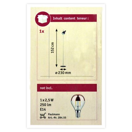 Paulmann 79692 - StehlampeHALDAR 1xE14/20W/230V