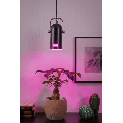 Paulmann 79766 - LED RGBW 1xE27/9W Pendelleuchte an Kabel LAVEA 230V schwarz