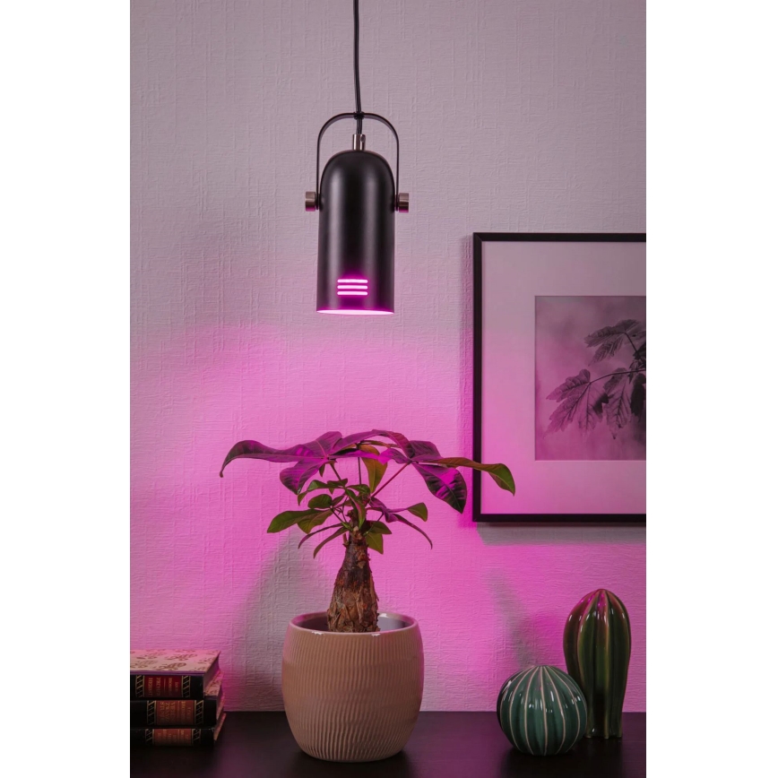 Paulmann 79766 - LED RGBW 1xE27/9W Pendelleuchte an Kabel LAVEA 230V schwarz